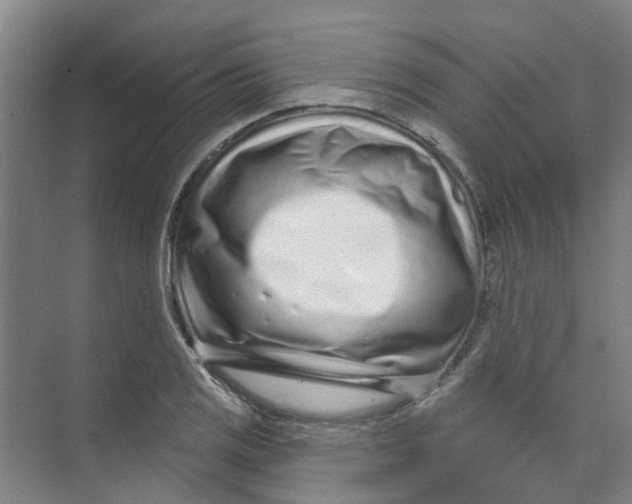 X0000074021125200609181854