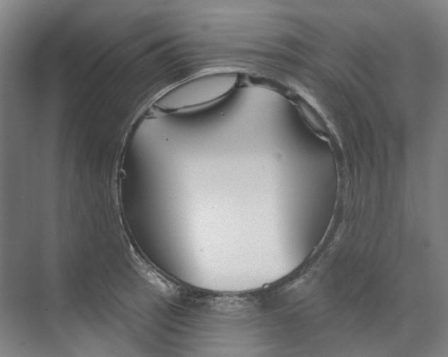 X0000074021137200609181854
