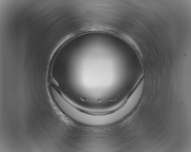 X0000074021138200609181854