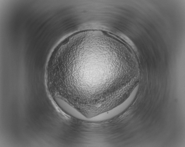 X0000074021144200609181854