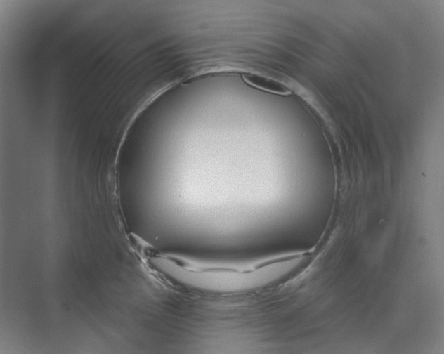 X0000074021145200609181854