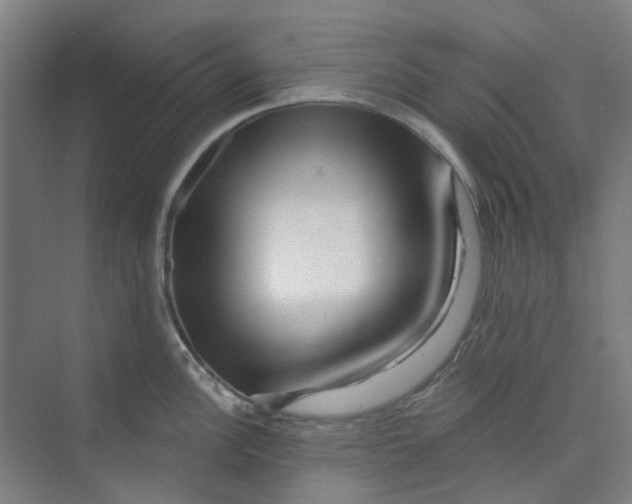X0000074021148200609181854