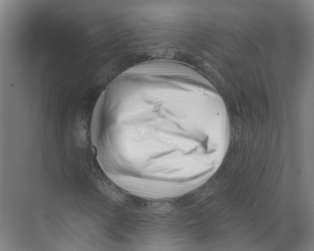 X0000074021154200609181853