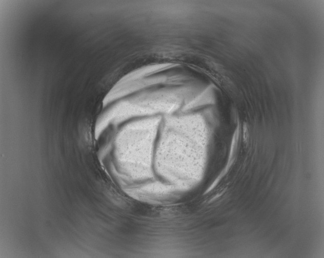 X0000074021155200609181853