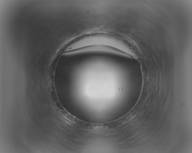 X0000074021160200609181853