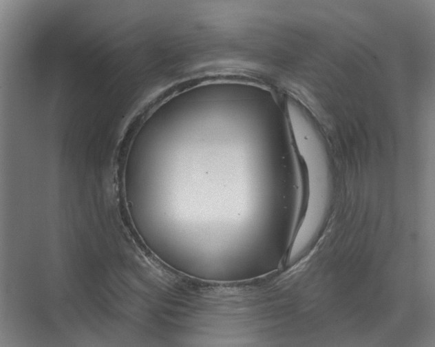 X0000074021164200609181853