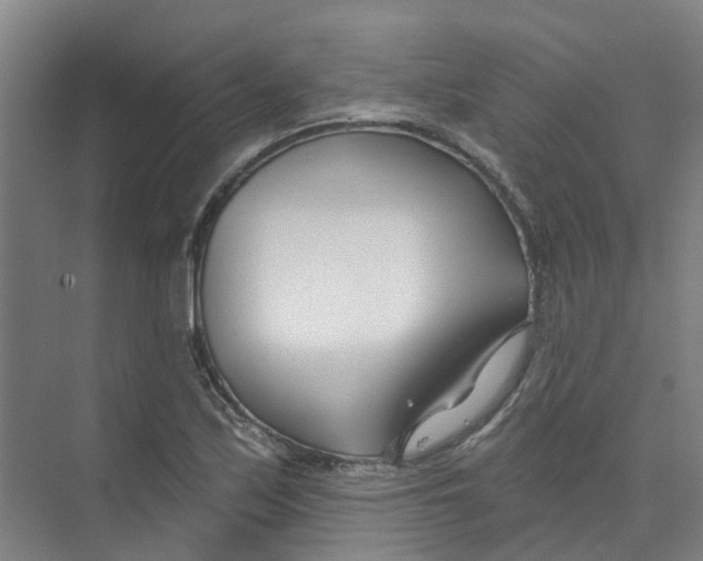 X0000074021171200609181853