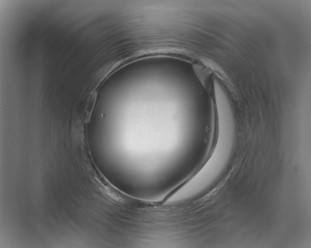 X0000074021177200609181853
