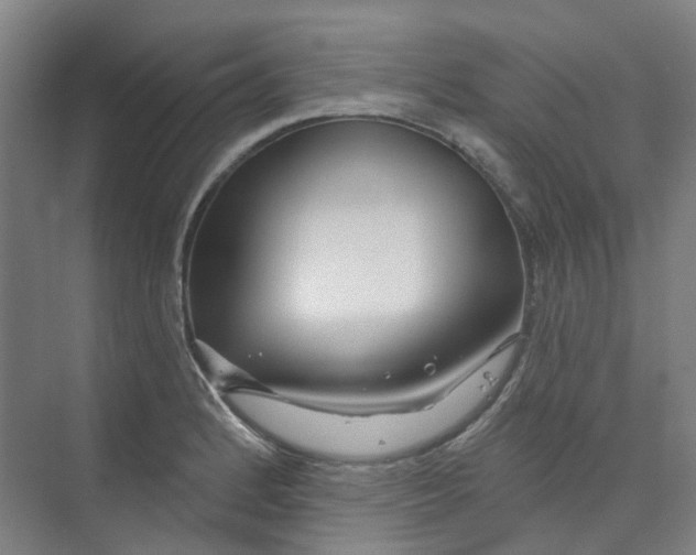 X0000074021184200609181853