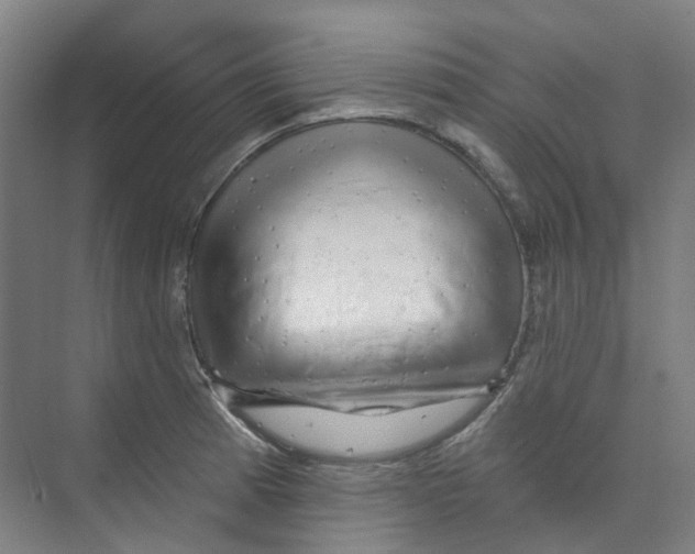 X0000074021185200609181853