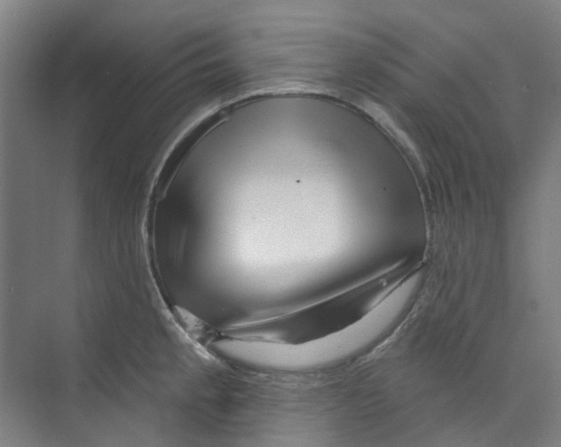 X0000074021189200609181853