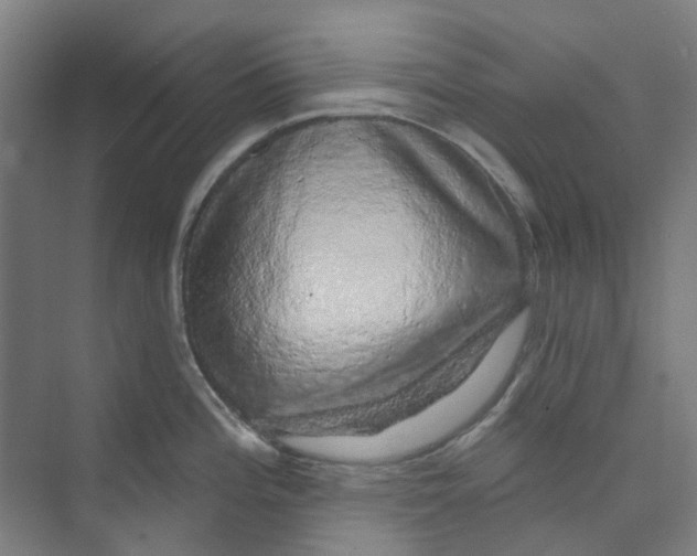X0000074021196200609181853