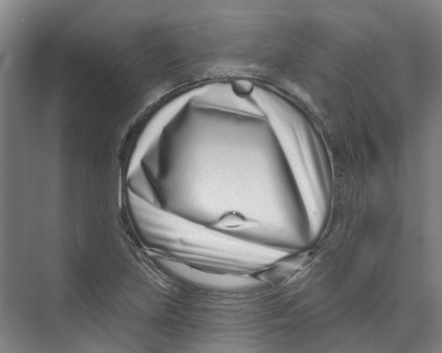 X0000074021219200609181852