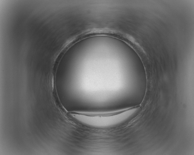 X0000074021221200609181852