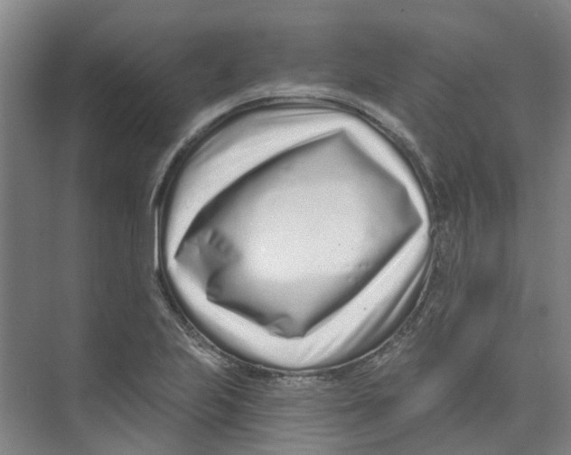 X0000074021223200609181852