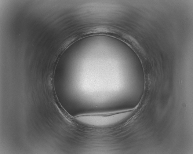 X0000074021225200609181852