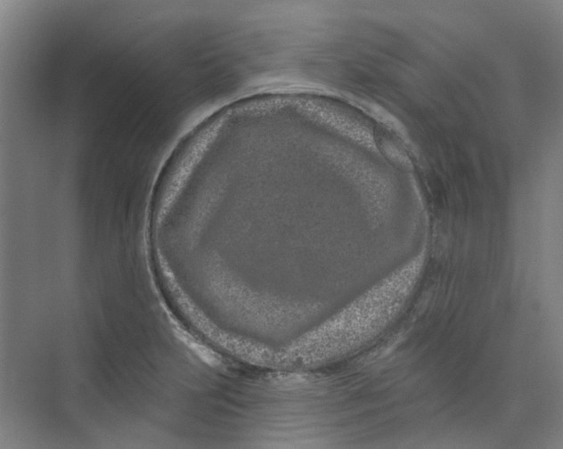 X0000074021231200609181852