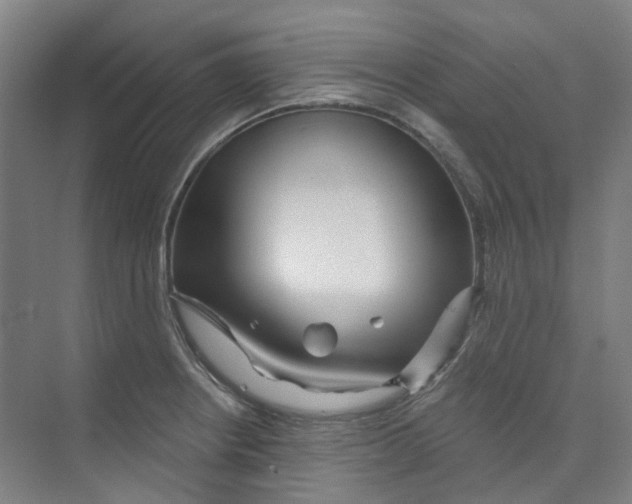 X0000074021234200609181852