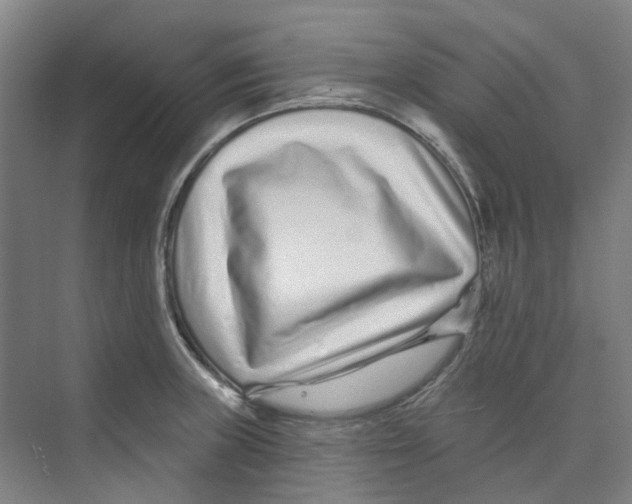 X0000074021235200609181852
