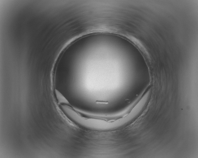 X0000074021238200609181852