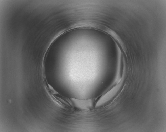 X0000074021242200609181852