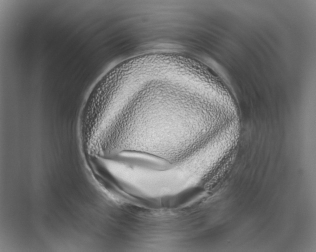 X0000074021243200609181852