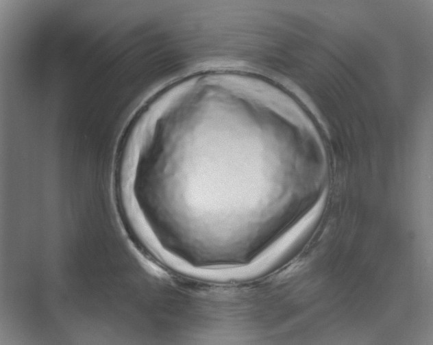 X0000074021245200609181852