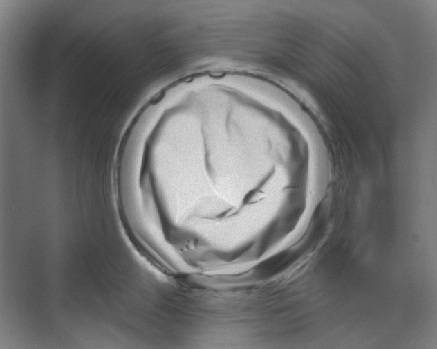 X0000074021247200609181852