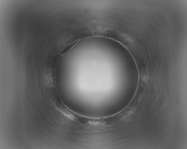 X0000074021252200609181852