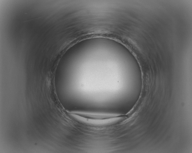 X0000074021257200609181851