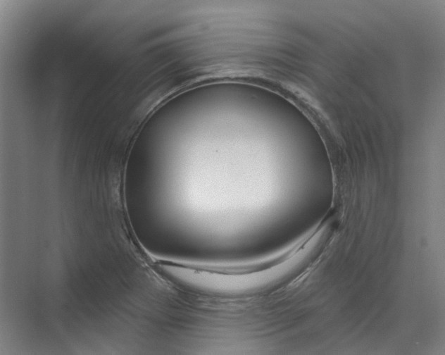 X0000074021273200609181851