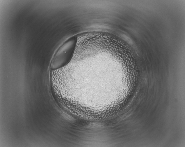 X0000074021275200609181851