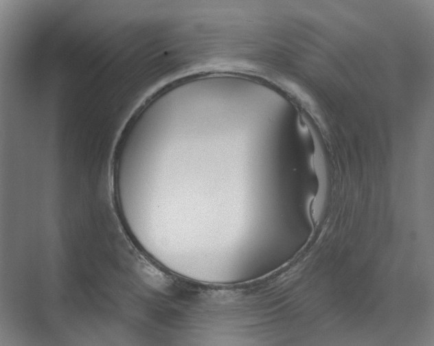 X0000074021280200609181851