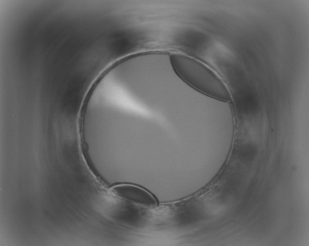 X0000074021291200609181851
