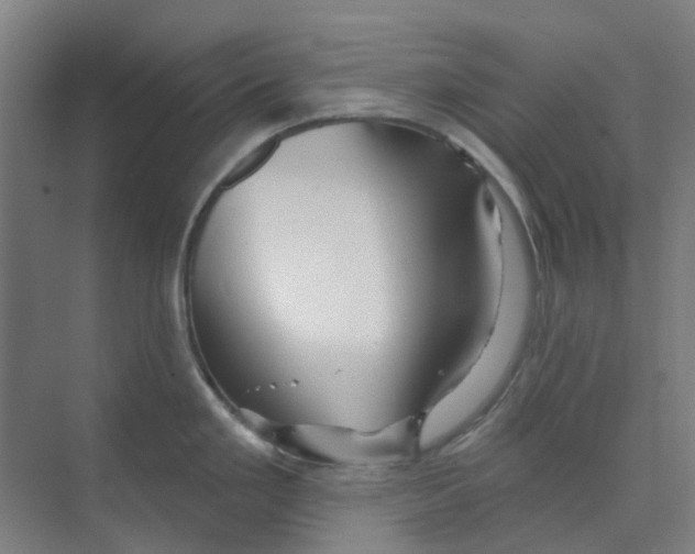 X0000074021293200609181851