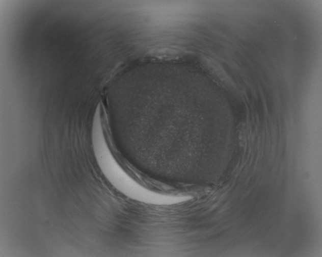 X0000074021298200609181850