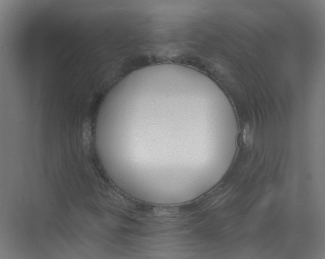 X0000074021299200609181850