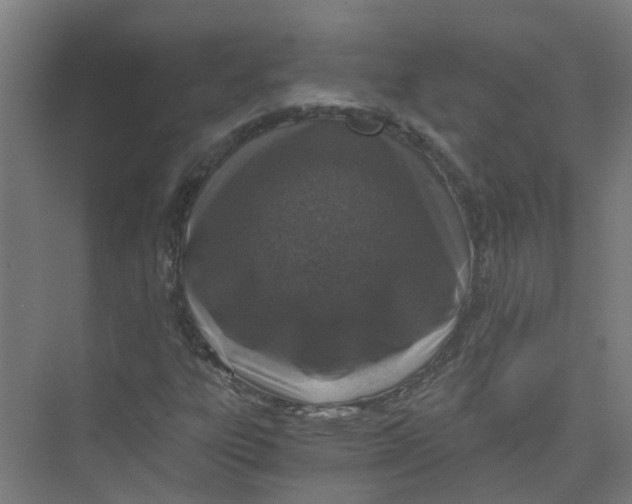 X0000074021303200609181850