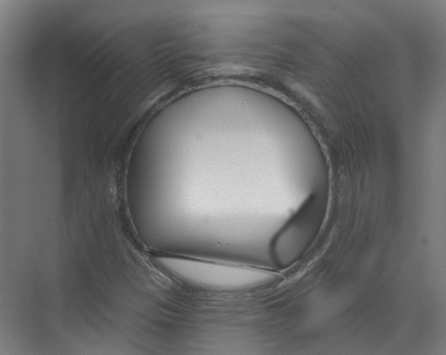 X0000074021305200609181850