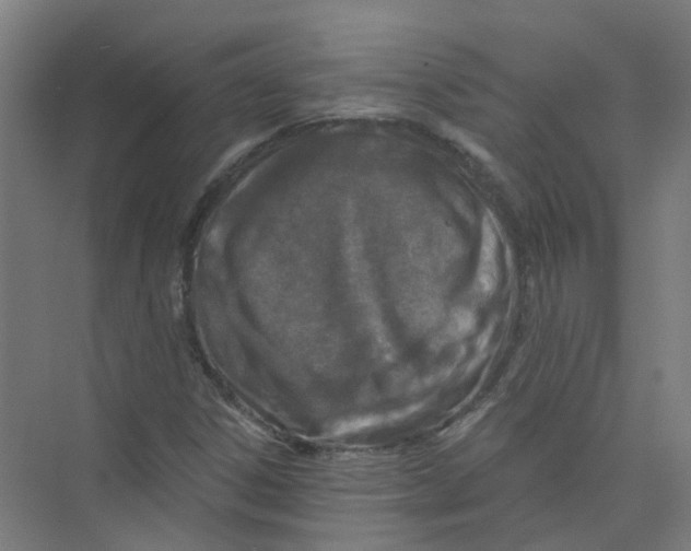 X0000074021306200609181850