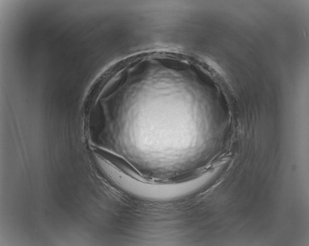 X0000074021310200609181850
