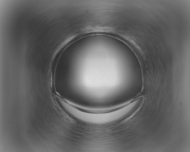 X0000074021317200609181850