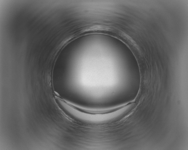 X0000074021321200609181850