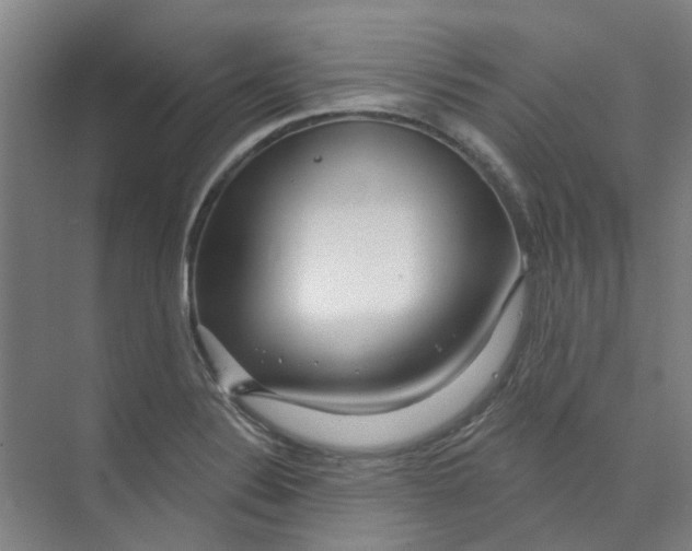X0000074021324200609181850