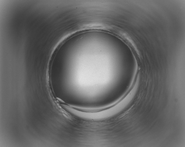X0000074021328200609181851