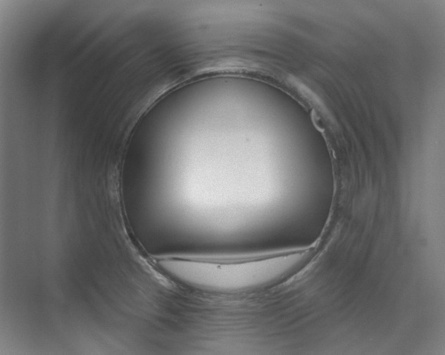 X0000074021329200609181851