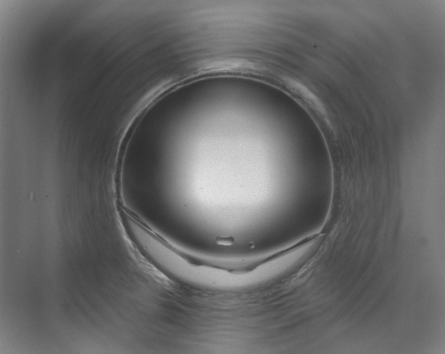 X0000074021330200609181851