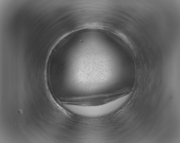 X0000074021331200609181851