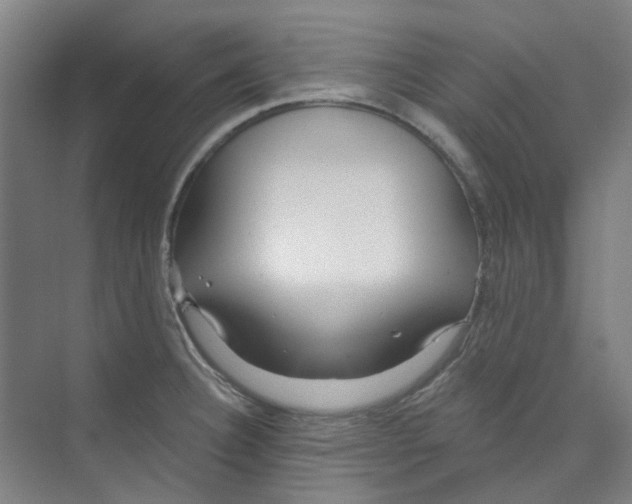 X0000074021332200609181851