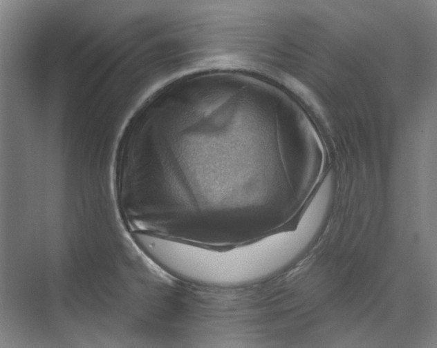 X0000074021334200609181851